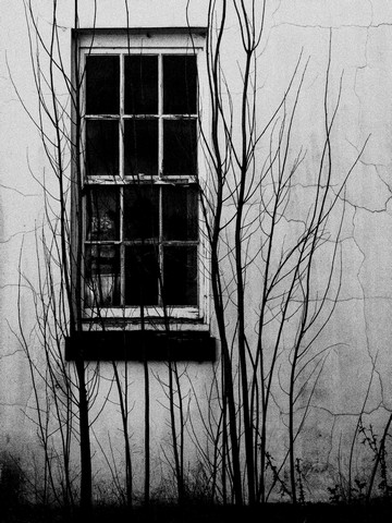 Through Yon WindowPhotography by Paul Temple